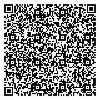 vCard 79805100160