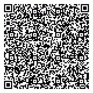vCard 79805100180