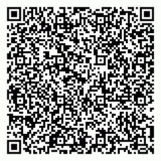 vCard 79805100203