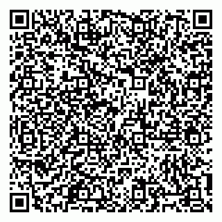 vCard 79805100207