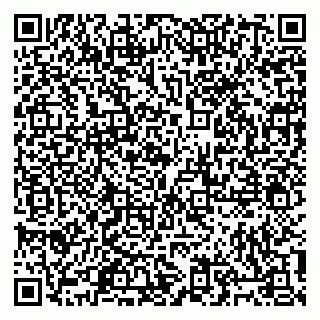 vCard 79805100294