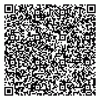 vCard 79805100295