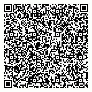 vCard 79805100310
