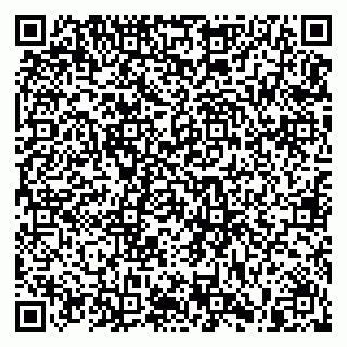 vCard 79805100316
