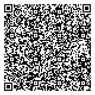 vCard 79805100318
