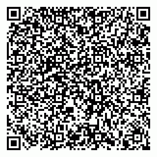 vCard 79805100320