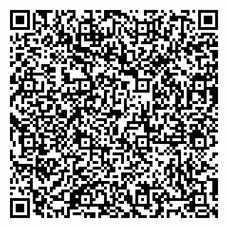 vCard 79805100331