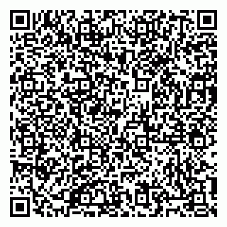 vCard 79805100333