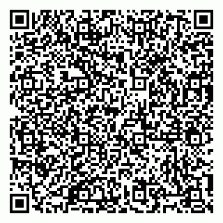 vCard 79805100337