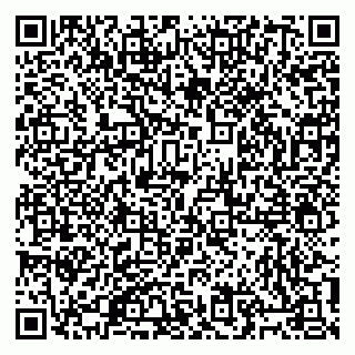 vCard 79805100367