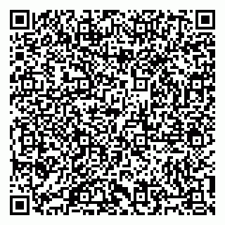 vCard 79805100380