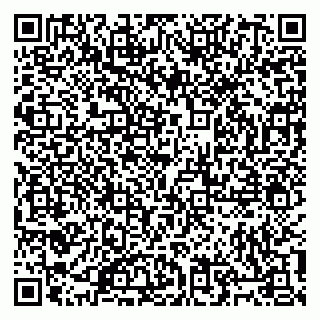 vCard 79805100390