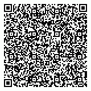 vCard 79805100394