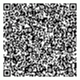 vCard 79805100397