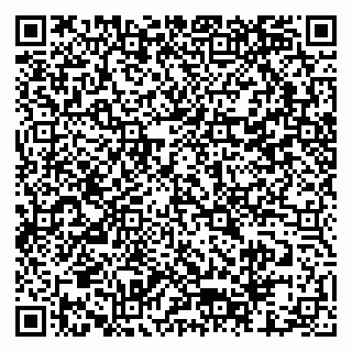 vCard 79805581733