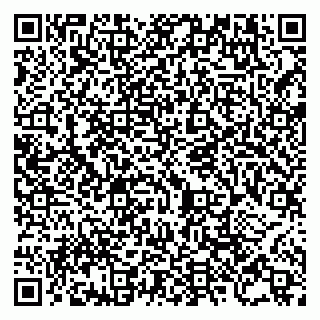 vCard 79805696320