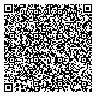 vCard 79805696331