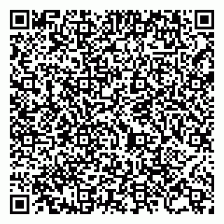 vCard 79805696385