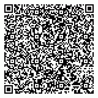 vCard 79805850095