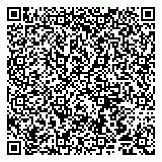 vCard 79805850301