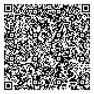 vCard 79805850330