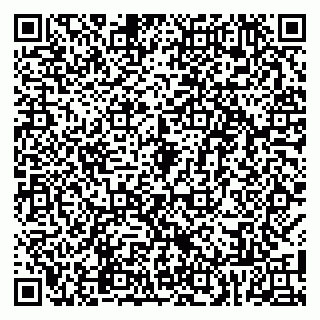 vCard 79806685875