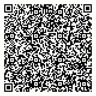 vCard 79806743181