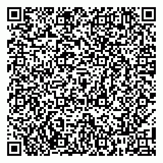 vCard 79806747095