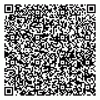 vCard 79806917061