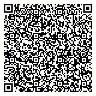 vCard 79806919872