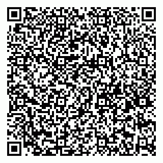vCard 79806920038