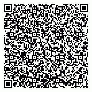 vCard 79806921331