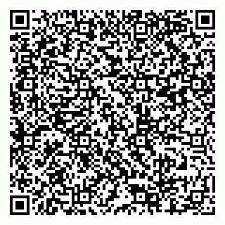 vCard 79807000029