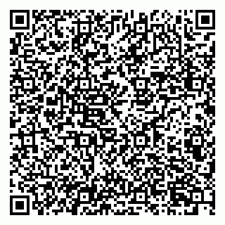 vCard 79807000133