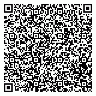 vCard 79807000151