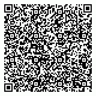 vCard 79807000213