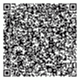 vCard 79807000258