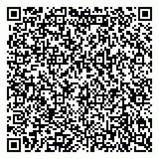 vCard 79807000271