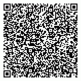 vCard 79807000285