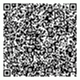 vCard 79807000301