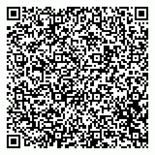 vCard 79807000331
