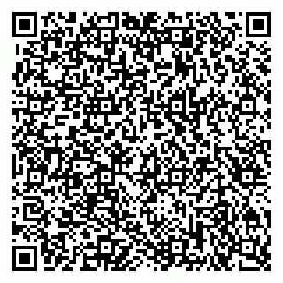vCard 79807000381