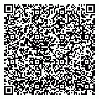 vCard 79807000383