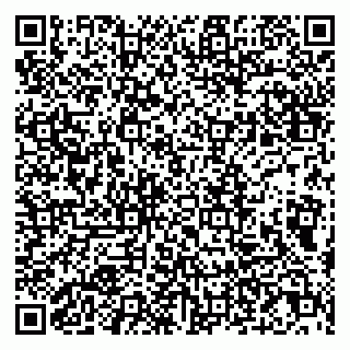 vCard 79807210881