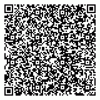 vCard 79807210905