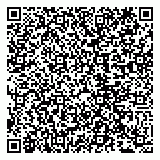 vCard 79807210913