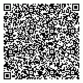 vCard 79807211003