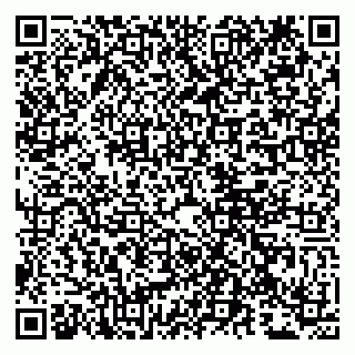 vCard 79807211009