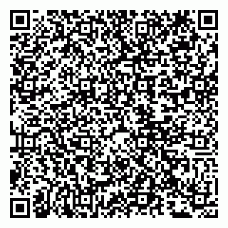 vCard 79807211032