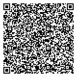vCard 79807211033